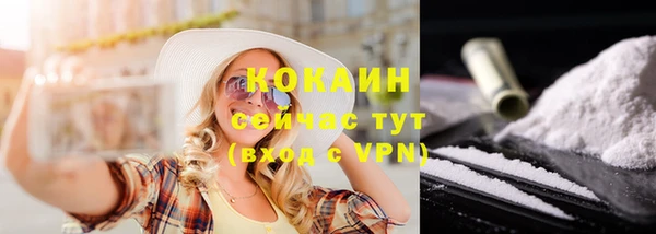 spice Алзамай