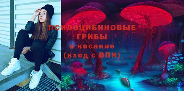 spice Алзамай