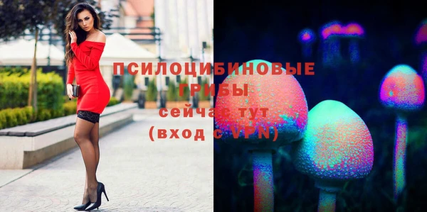 spice Алзамай