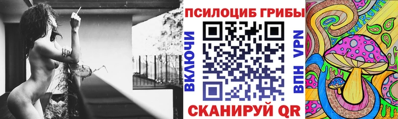 Псилоцибиновые грибы GOLDEN TEACHER Пласт