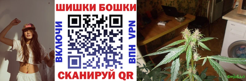 Конопля ГИДРОПОН Пласт